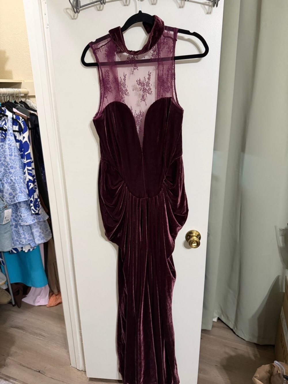 Meshki Velvet Plum Evening Gown with Lace Yoke